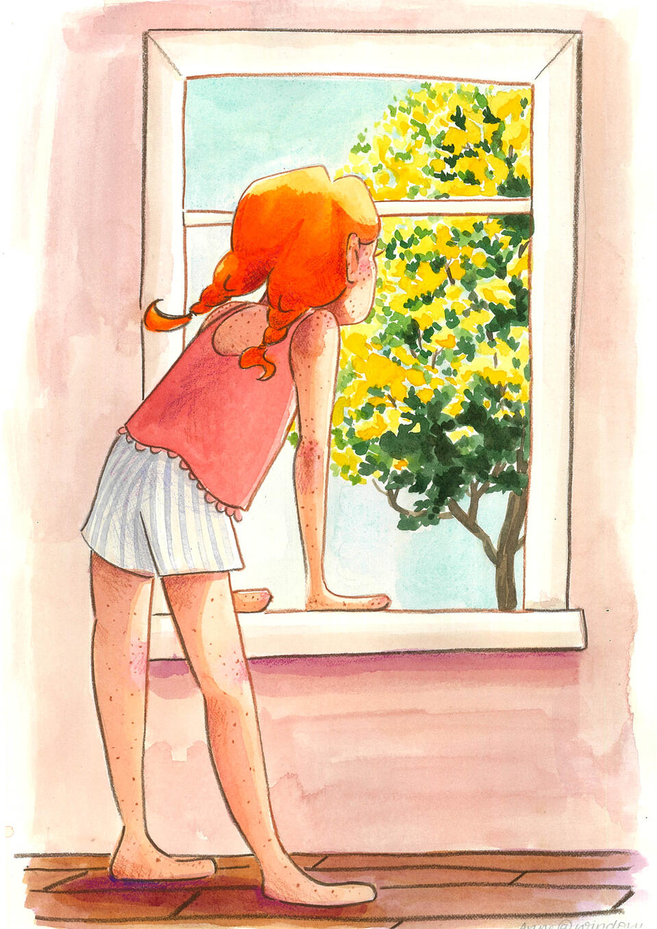 Wattle Window - Anne of the Outback Picturebook Concept