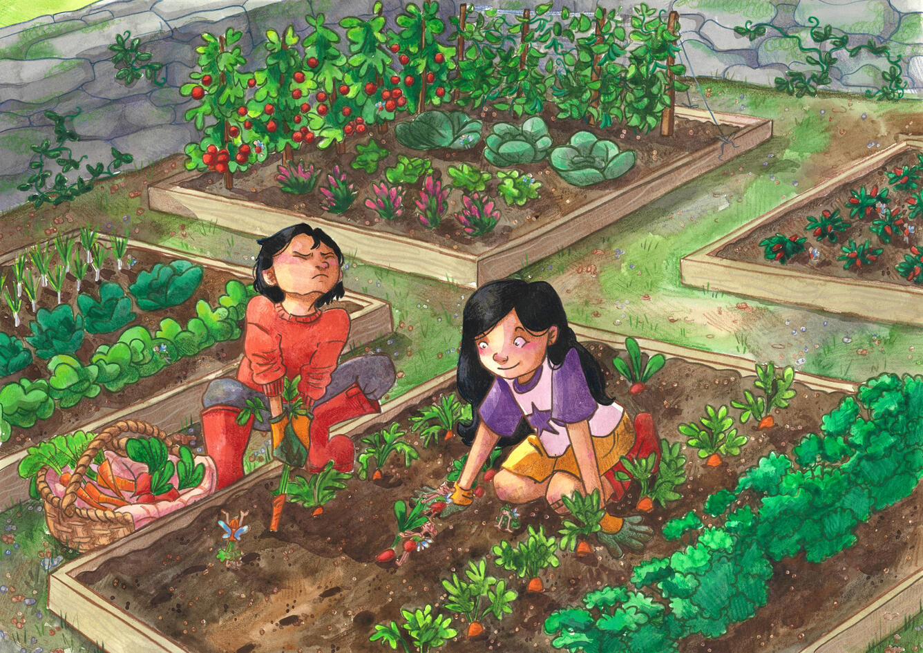 Fermoyle Fairies Veggie Patch - Watercolour and pencil illustration for picturebook concept